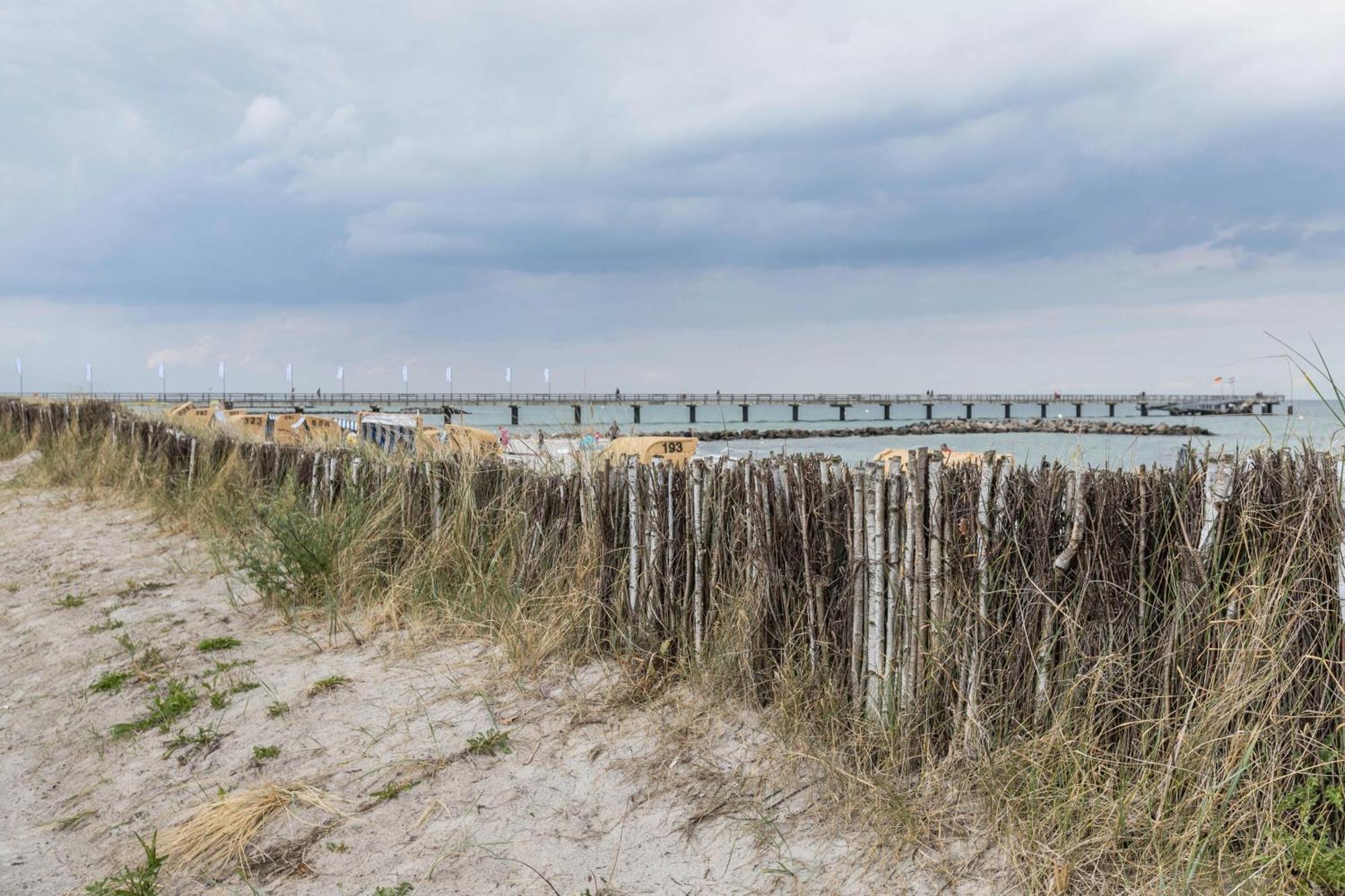 Treibholz - Feriendomizil Ostsee Schonberger Strand Luaran gambar